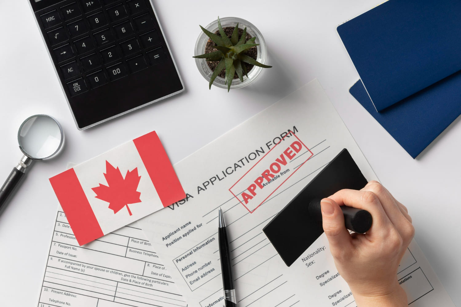 A Step-by-Step Guide to Obtaining a Canadian Study Permit